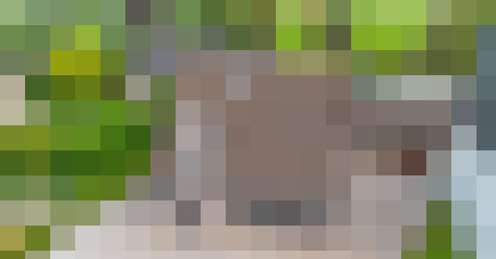 Image 25
