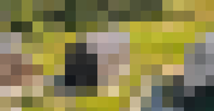 Image 14