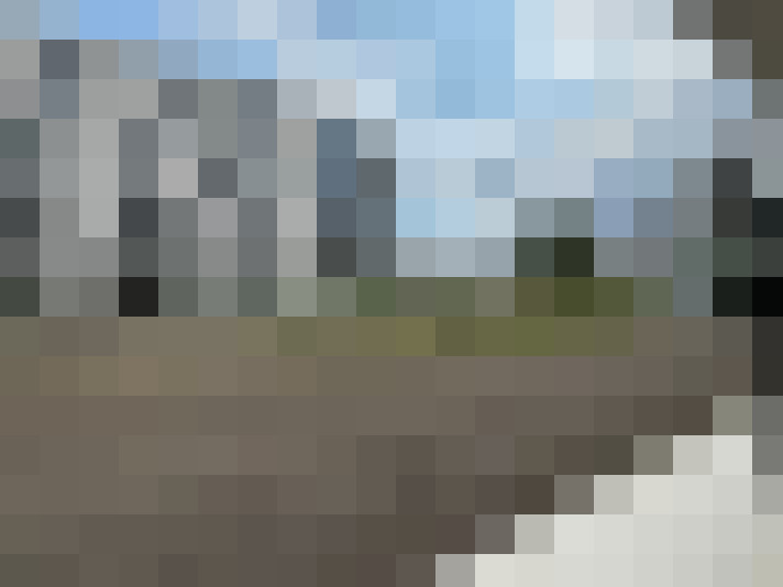 Image 14