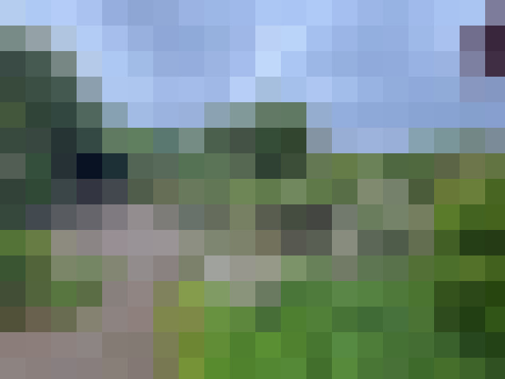 Image 17
