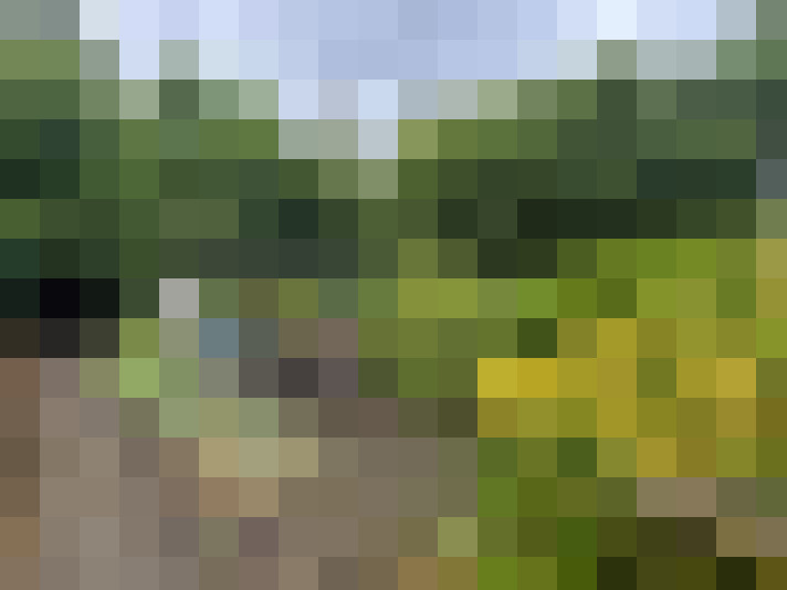 Image 20