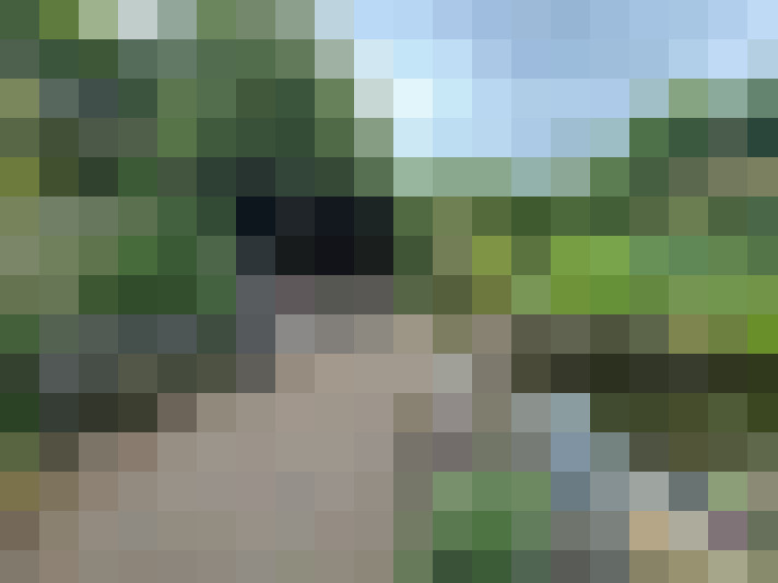 Image 18