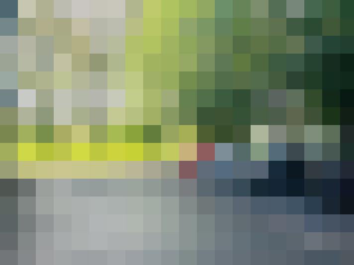 Image 20