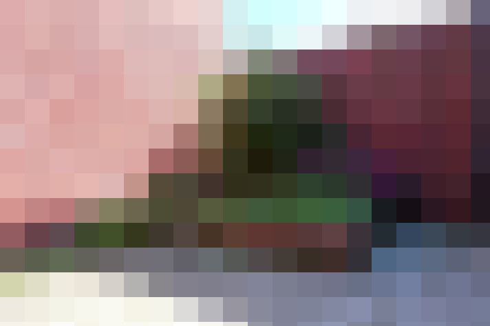 Image 23