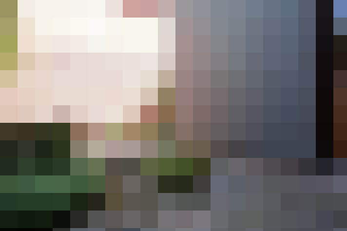 Image 22