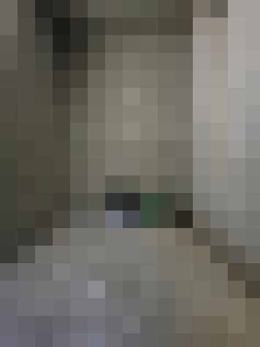 Image 23