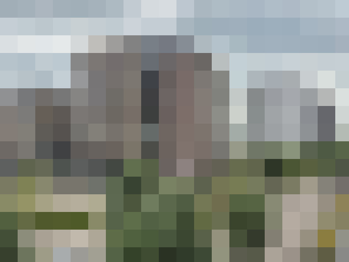 Image 26