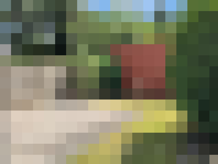 Image 16