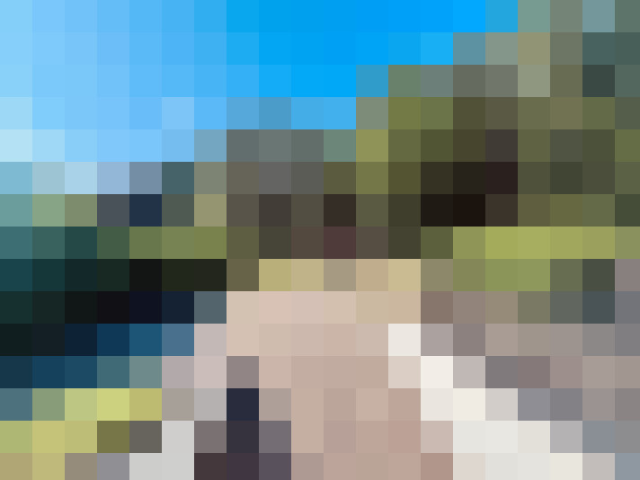 Image 17