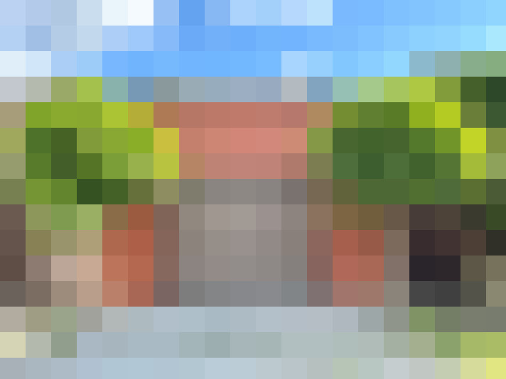 Image 25