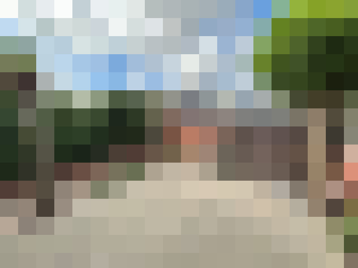 Image 23