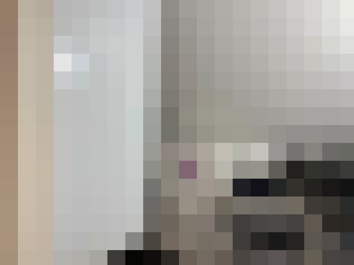 Image 29