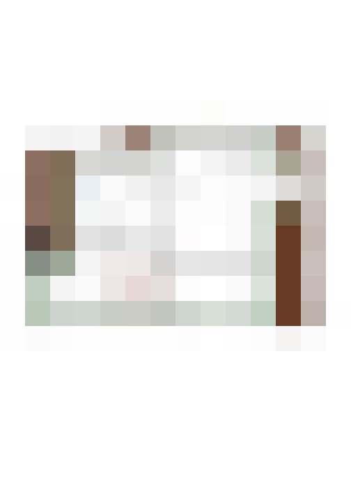 Image 17