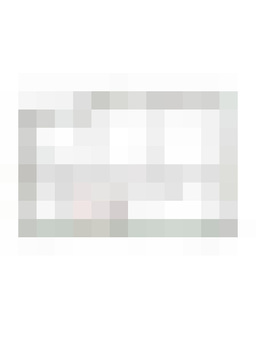 Image 14