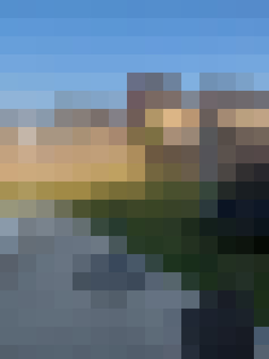 Image 22