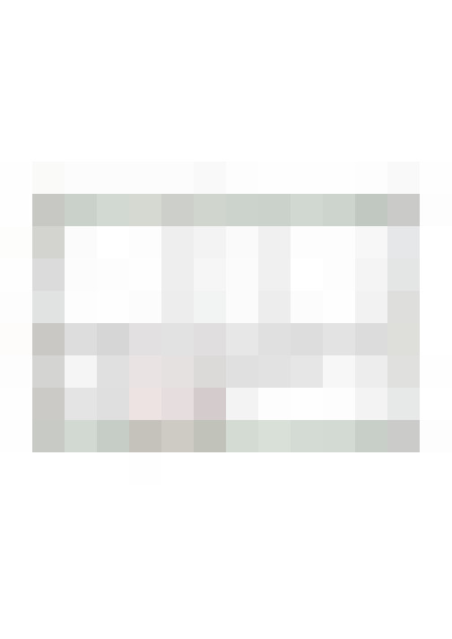 Image 16