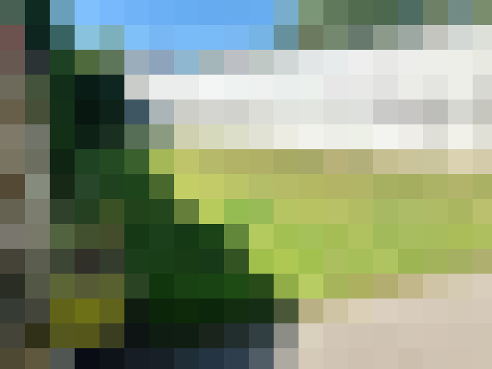 Image 17