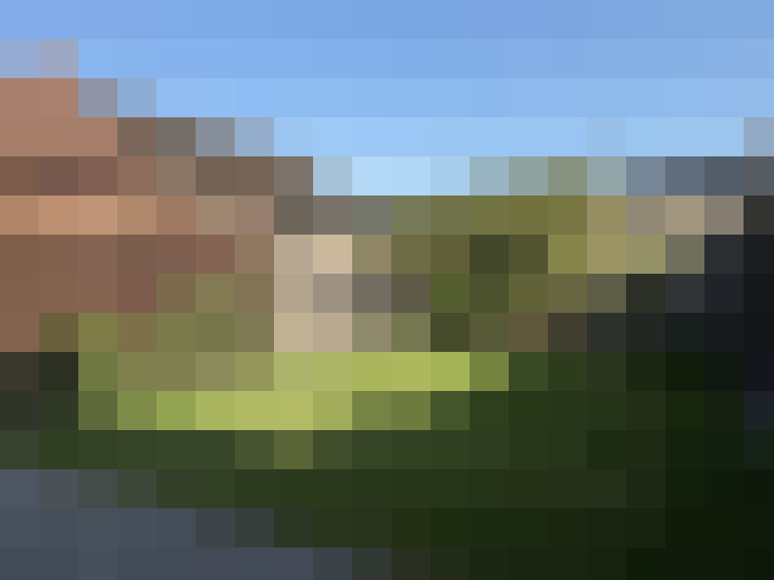 Image 23