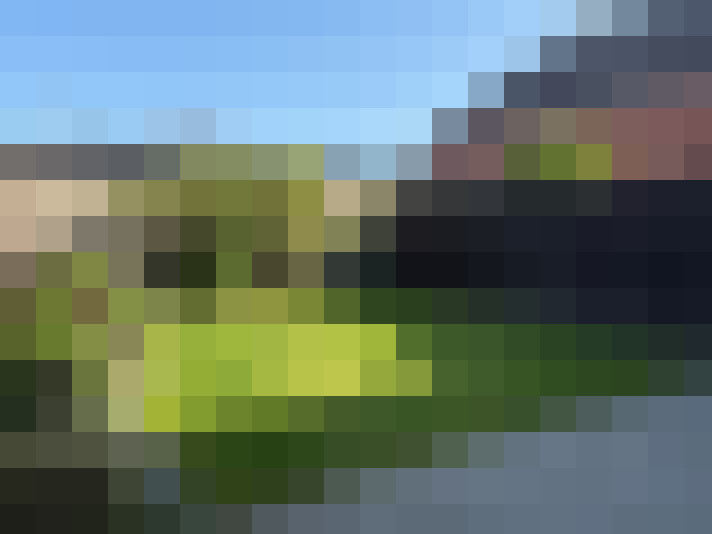 Image 24