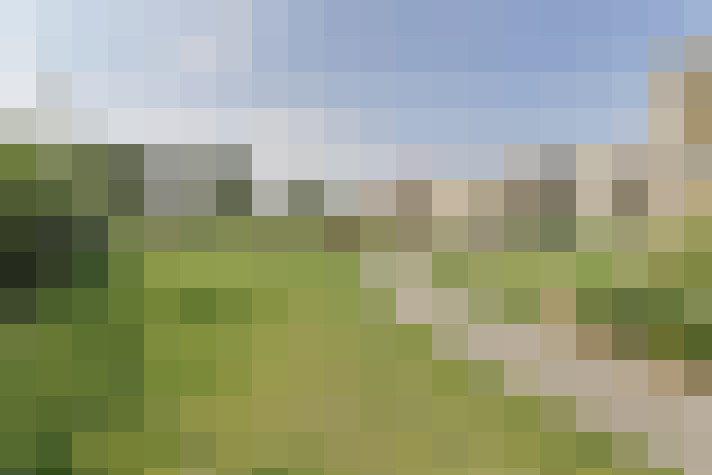 Image 14