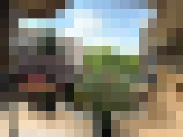 Image 15
