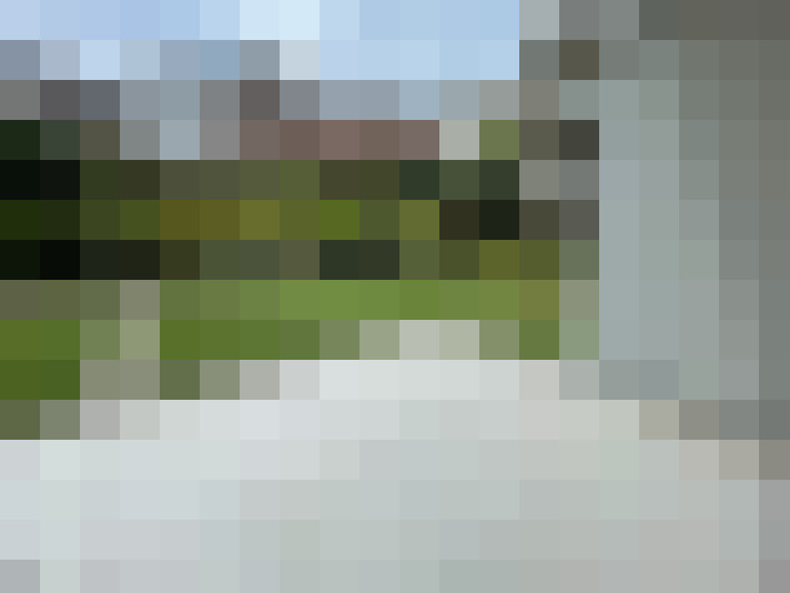 Image 16