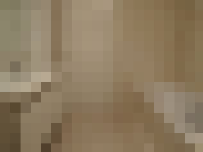 Image 13