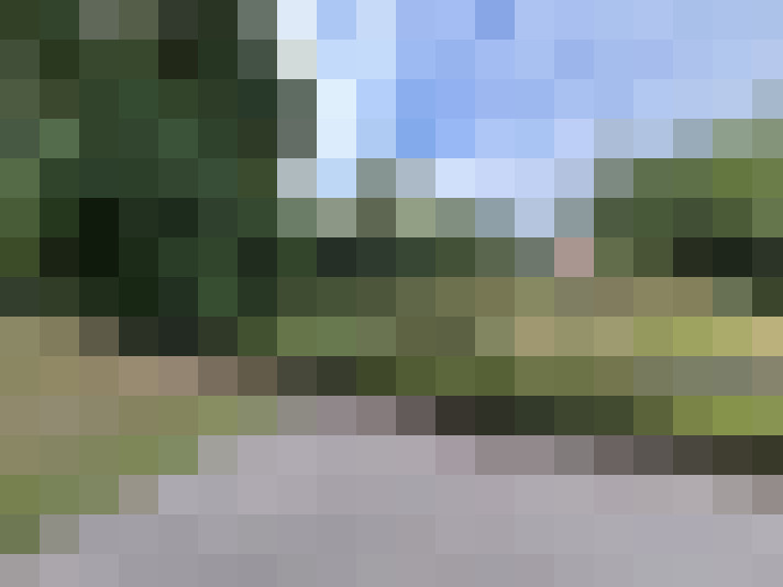 Image 30