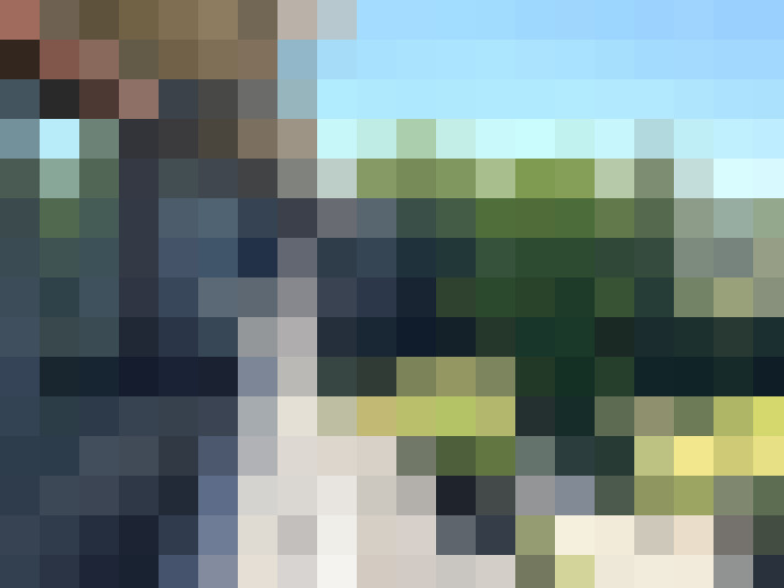 Image 13