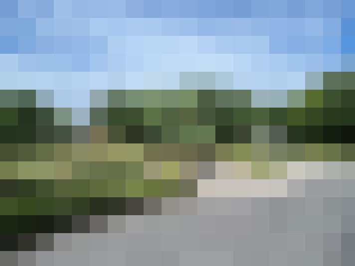 Image 31