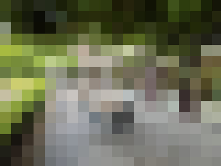 Image 29