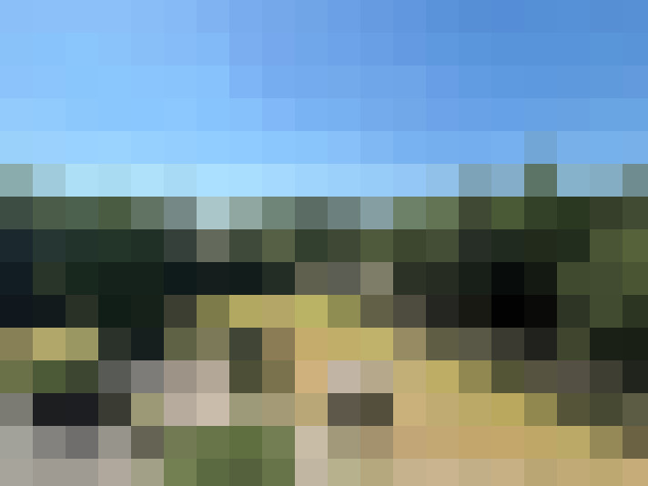 Image 23