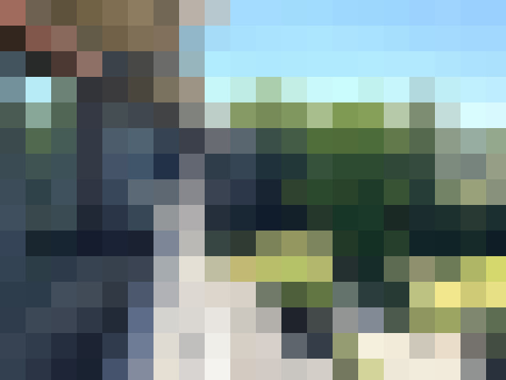 Image 20