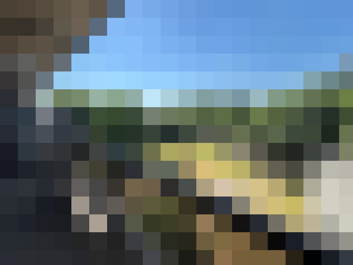 Image 16