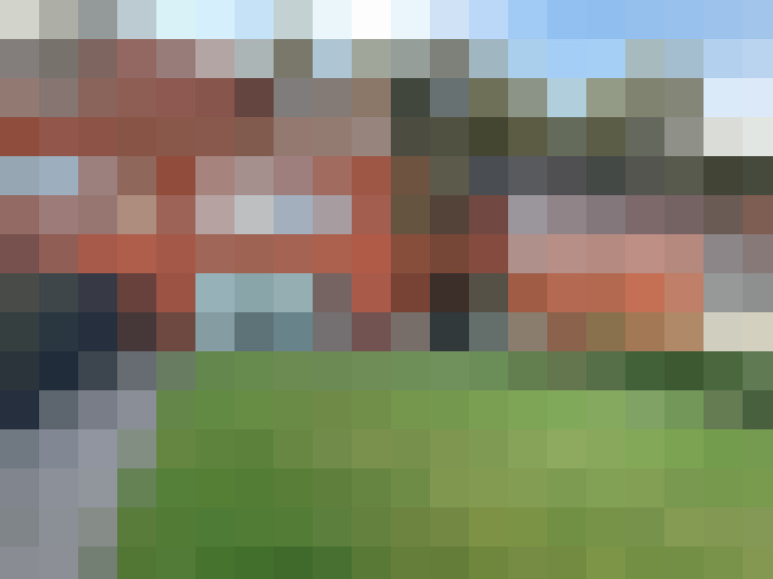 Image 20