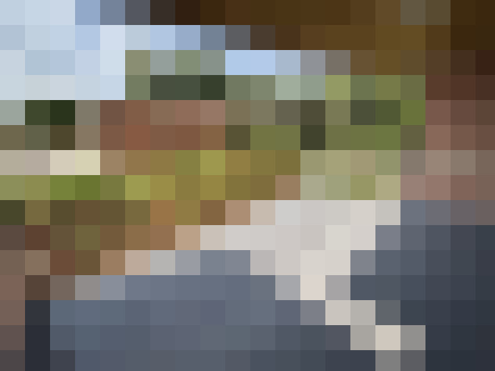 Image 17