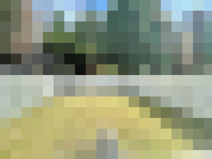 Image 13