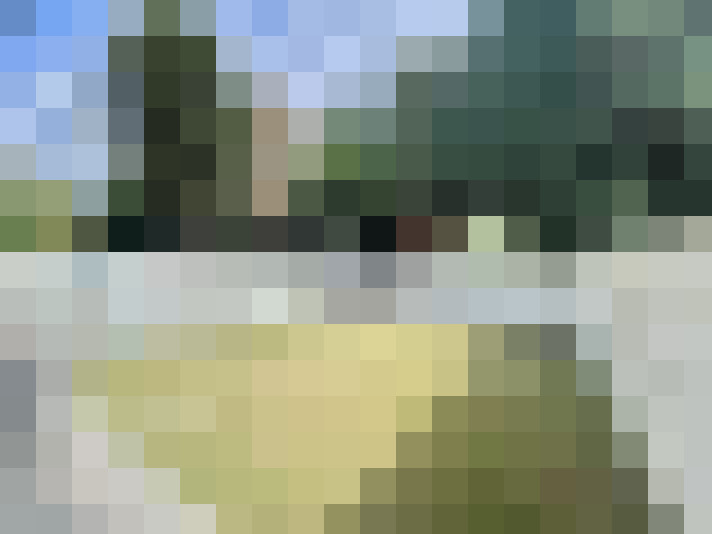 Image 14