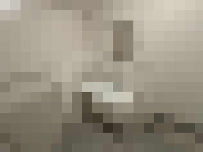Image 13