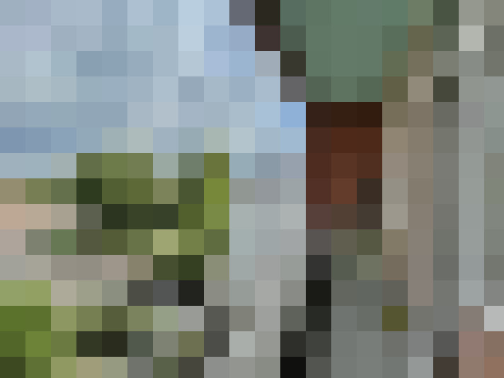 Image 13