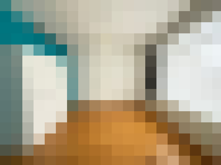 Image 21