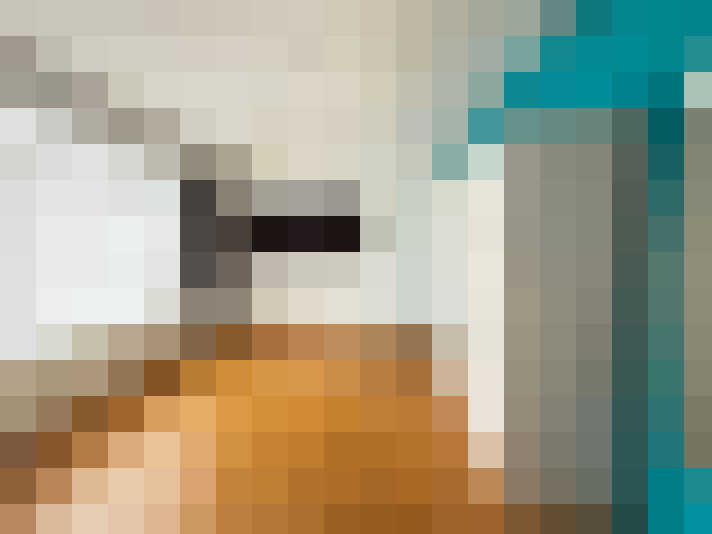 Image 22