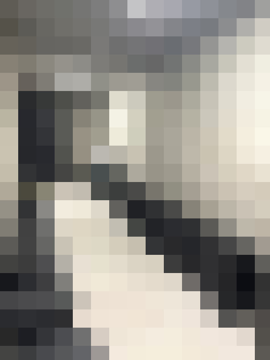 Image 22