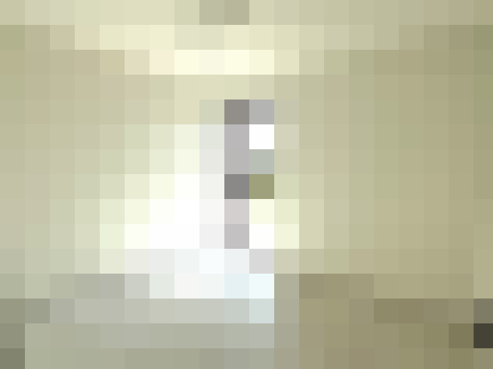 Image 13