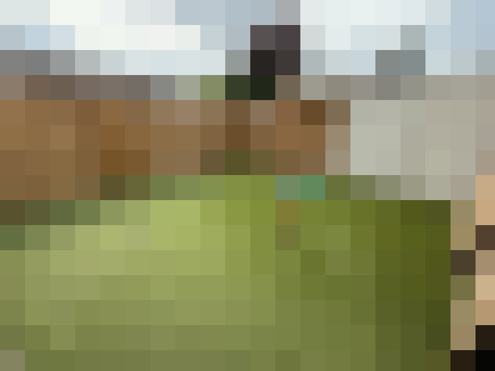 Image 14