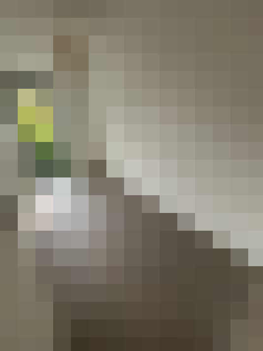 Image 14
