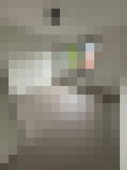 Image 13