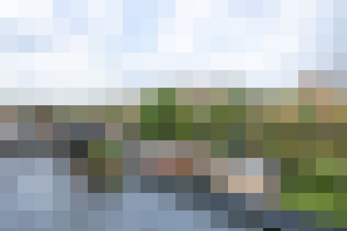 Image 15