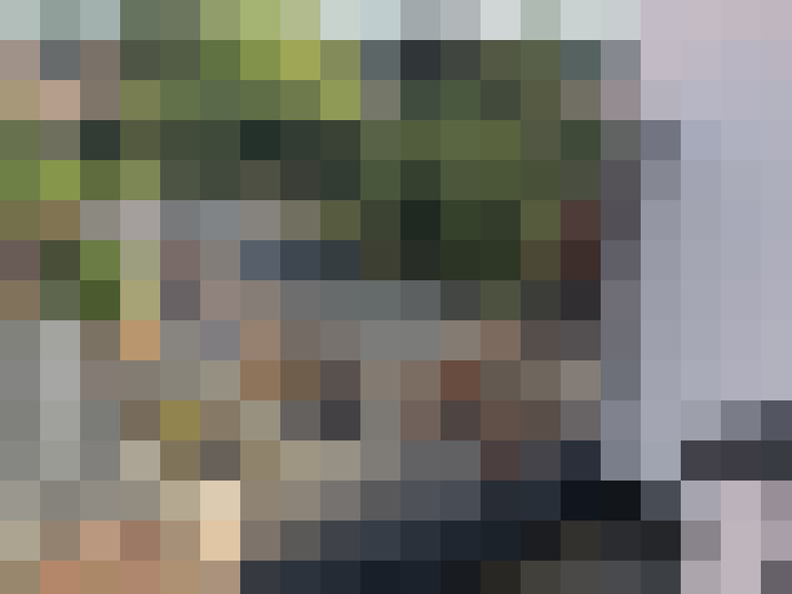Image 22