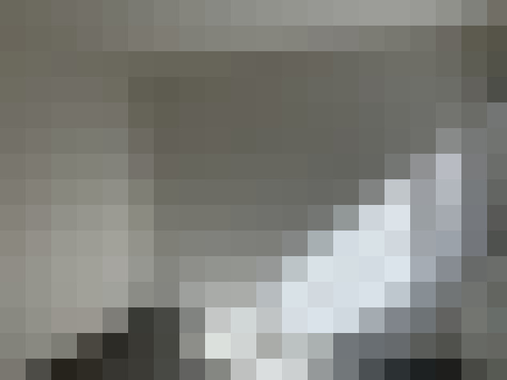 Image 14